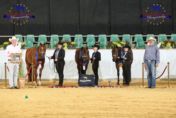 Geldings three and over Amateur EC5 7255