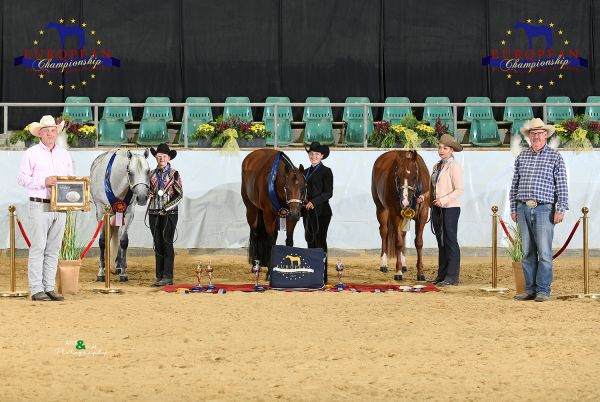 Geldings three and over Youth EC5 8193