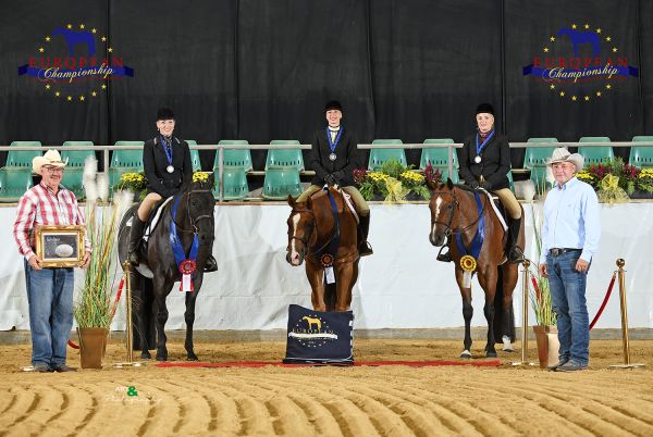 Junior Hunter Under Saddle Open EC5 0891
