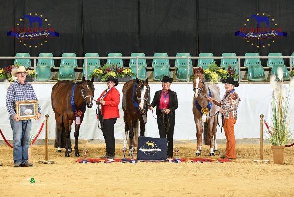 Mares 3 Year old Open EC5 7569
