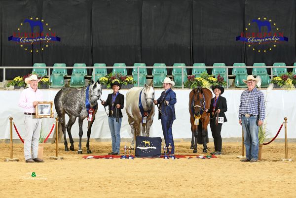 Mares Aged Open EC5 7640