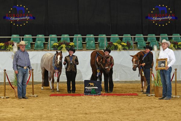 NSBA Trail in Hand 2yo EC5 5384