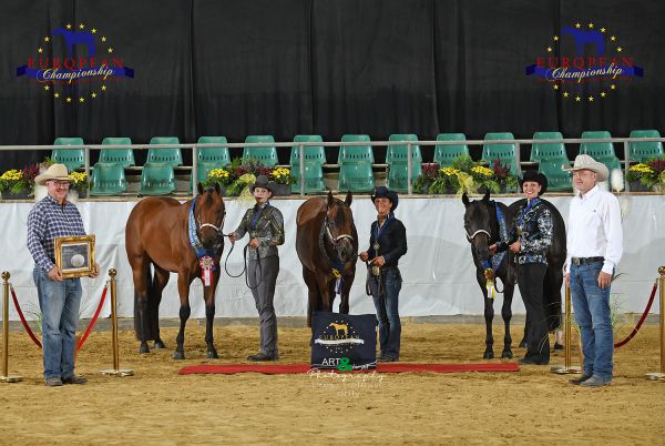 NSBA Trail in Hand 3 yo EC5 5529