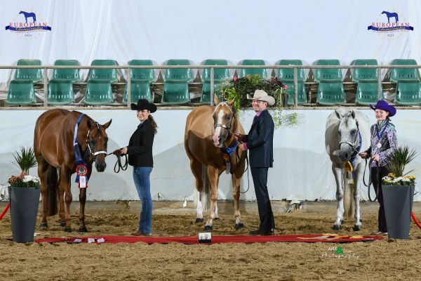 Halter Amateur Mares Aged EC5 3400