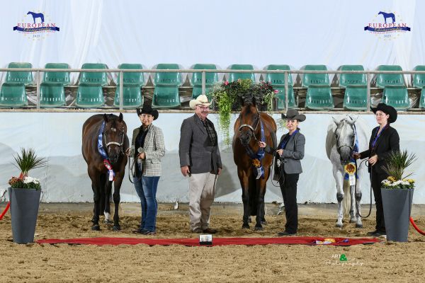 Halter Amateur Mares Performance EC5 3441