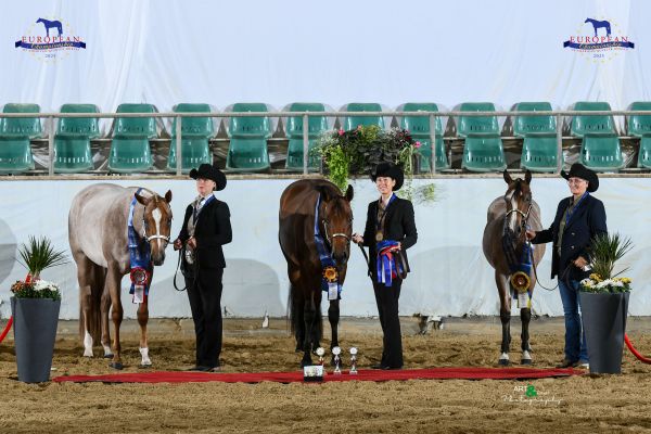 Halter Amateur Mares Two And Under EC5 3365