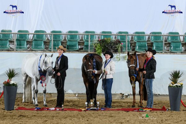 Halter Open Mares Performance EC5 3346