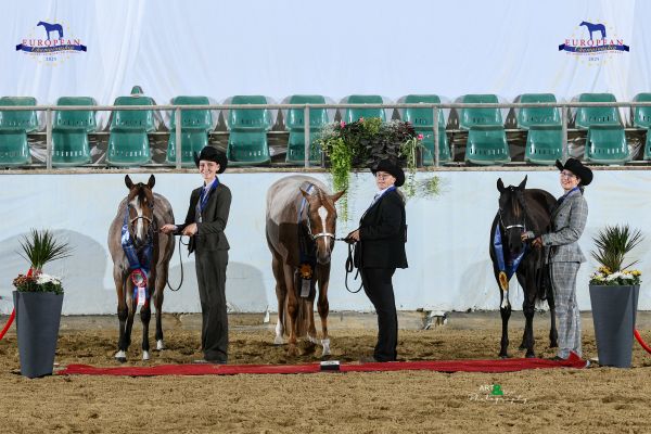 Halter Open Mares Two and Under EC5 3301