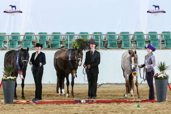 Halter Youth Geldings Performance EC5 3284
