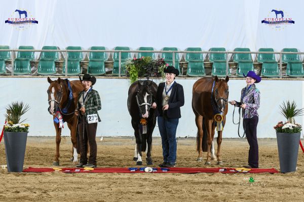 Halter Youth Geldings Three And Over EC5 3253