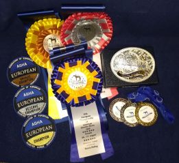 Ribbons2