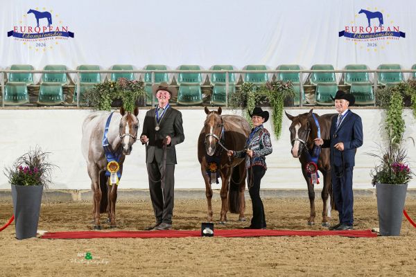 AMATEUR SELECT SHOWMANSHIP AT HALTER EC2 4752