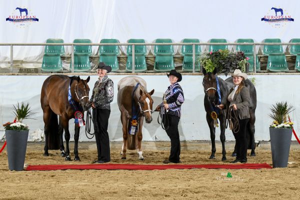 Longe Line Young Horse Cup EC2 2711