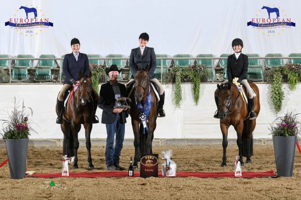 NSBA OPEN HUNTER UNDER SADDLE FUTURITY EC2 5647