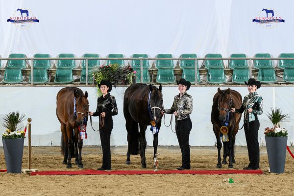 Showmanship Young Horse Cup EC2 1152