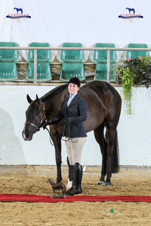 Young Horse Cup EC2 2713