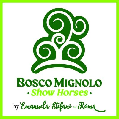 BOSCO BY EMANUELA 2