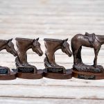 EVC Trophy