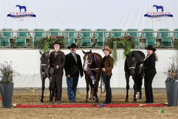 DQHA OPEN LONGE LINE 2 YR OLD EC2 9381