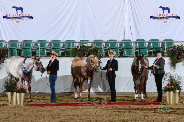 Open Stallions Performance EC5 4612