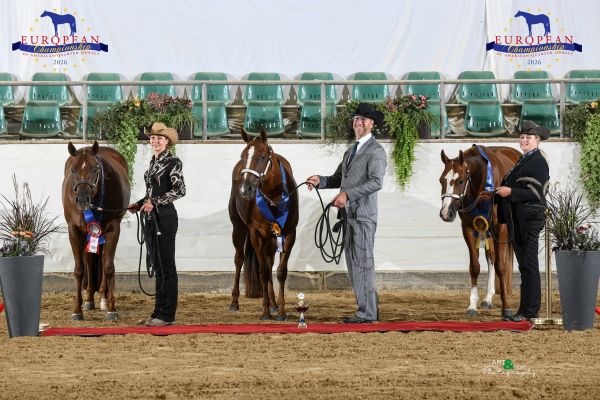 YOUNG HORSE CUP KUMLEGAARD LONGE LINE EC2 0758