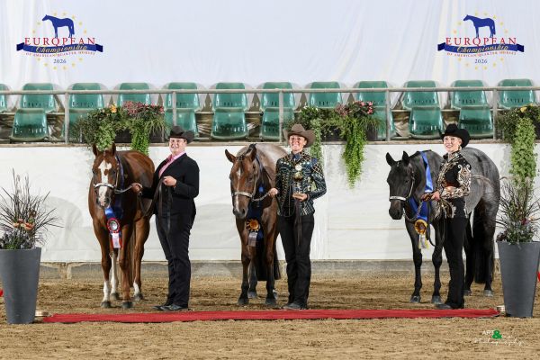 YOUNG HORSE CUP KUMLEGAARD SHOWMANSHIP AT HALTER EC2 9534