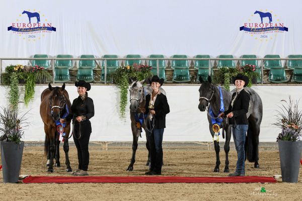 YOUNG HORSE CUP KUMLEGAARD TRAIL IN HAND EC2 7488