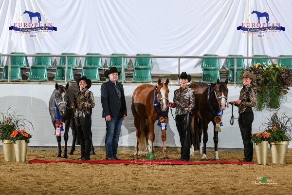 Young Horse Cup Showmanship EC5 5534