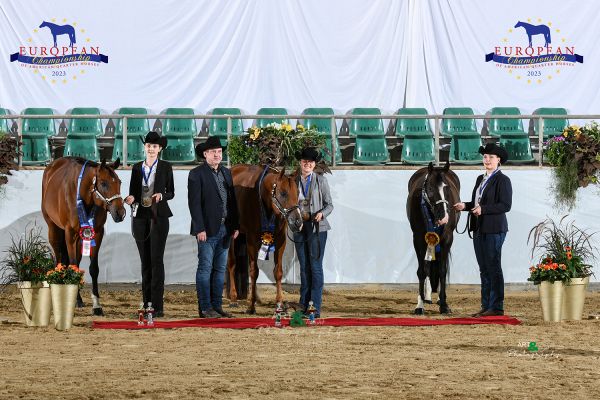Youth Geldings Three And Over EC5 5378