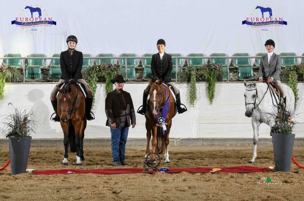 DQHA OPEN HUNTER UNDER SADDLE MATURITY EC2 0606