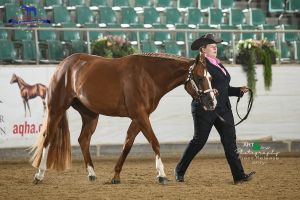 Kumlegaard Showmanship EC2 9478 web