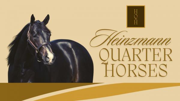 heinzmann qh
